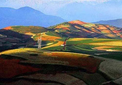 �|���t����