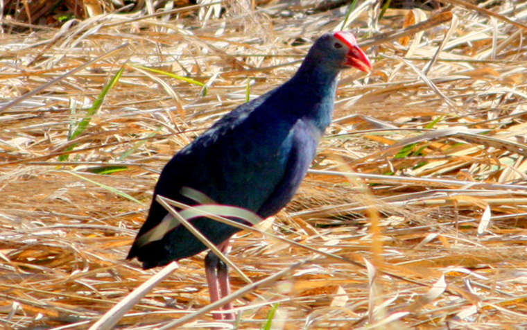 �Q�c &mdash; С�B������ - xiaofang - ��ŵĲ���