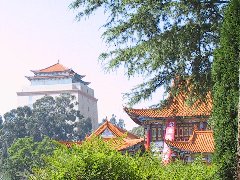 2013����ɽ���� �P(gu��n)���Є�(d��ng)